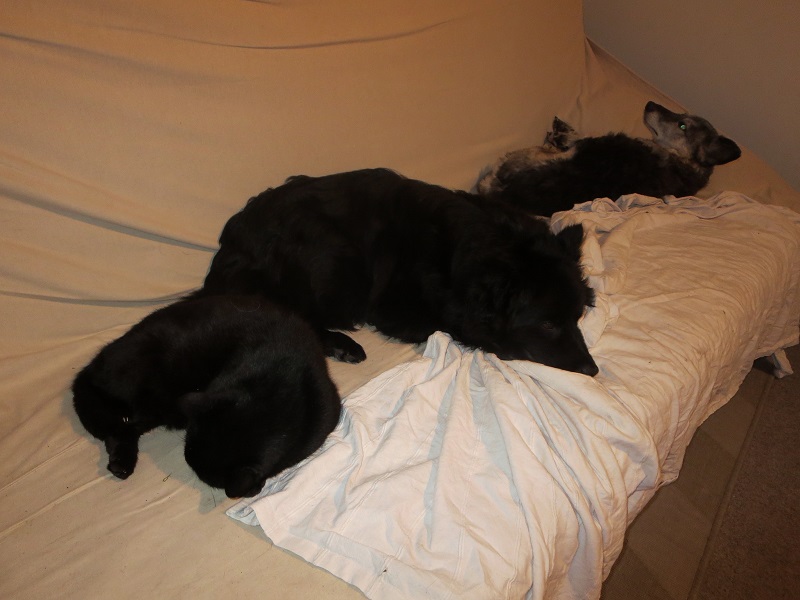 Sofagemütlichkeiten