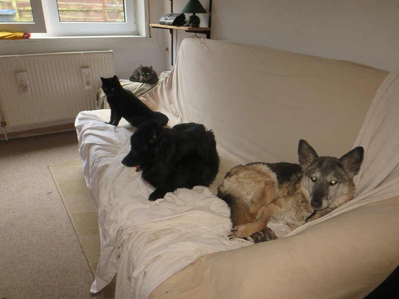 Sofagemütlichkeiten